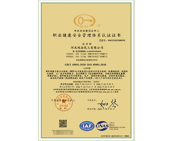 职业体系